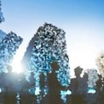 Key Considerations for Expanding Your Business Internationally