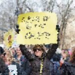 Analyzing the Effects of Political Polarization
