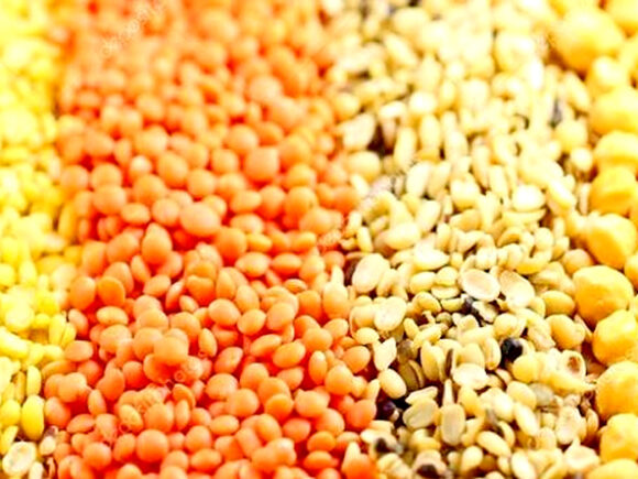 ग्रीष्मकालीन धान के स्थान पर दलहन, तिलहन एवं मक्का फसल प्रोत्साहन योजना