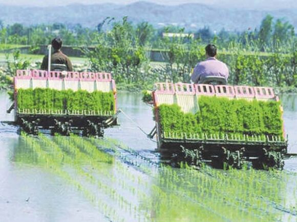 राज्य योजनांतर्गत पैडी ट्रांसप्लांटर मशीन से धान रोपाई पर अनुदान योजना