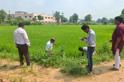 बालाघाट: जिला स्तरीय दल ने 21 गांवों में किया फसलों का निरीक्षण, किसानों को जैविक-रासायनिक उपचार की दी सलाह – एग्रीवेट
