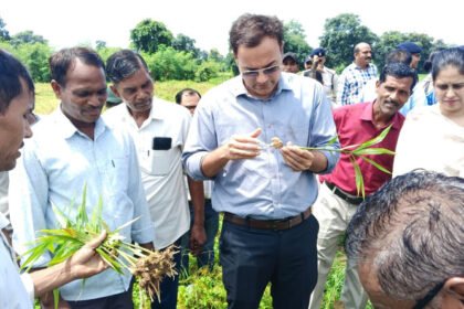 कटनी के विनोद ने अपनाया फसल विविधीकरण का आधुनिक मॉडल, अब सालाना कमा रहे ₹4-5 लाख—जानें पूरा मामला – एग्रीवेट