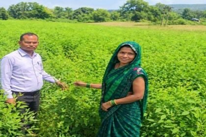 अनीता बाई ने एक हेक्टेयर में अपनाई अरहर की उन्नत खेती, वैज्ञानिक तकनीक से मिली शानदार फसल – एग्रीवेट