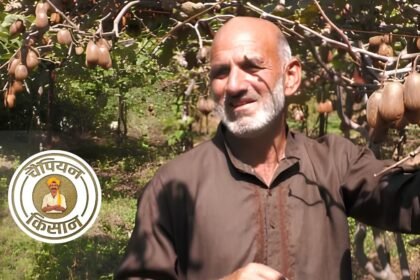 सेना से रिटायरमेंट के बाद खेती में आजमाया हाथ, आज गांव में कीवी उगाकर कमाल कर रहे असलम—पढ़ें इनसाइड स्टोरी – एग्रीवेट