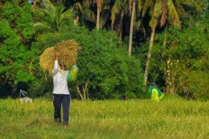 गुजरात में 63 लाख से ज्यादा किसानों ने कराया फार्मर रजिस्ट्री में पंजीकरण—पढ़ें इनसाइड स्टोरी – एग्रीवेट