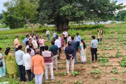 बेंगलुरु में बड़वानी के 25 किसानों को मिला प्राकृतिक खेती का प्रशिक्षण, जीवामृत-बीजामृत समेत जैविक आदान बनाना सीखा – एग्रीवेट