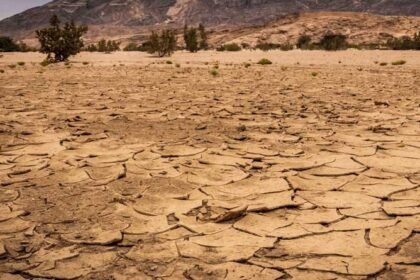 कर्नाटक: सूखा प्रभावित किसानों को मिलेगी 2500 रुपये की तत्काल राहत, 45-50 लाख किसानों को फायदा – एग्रीवेट